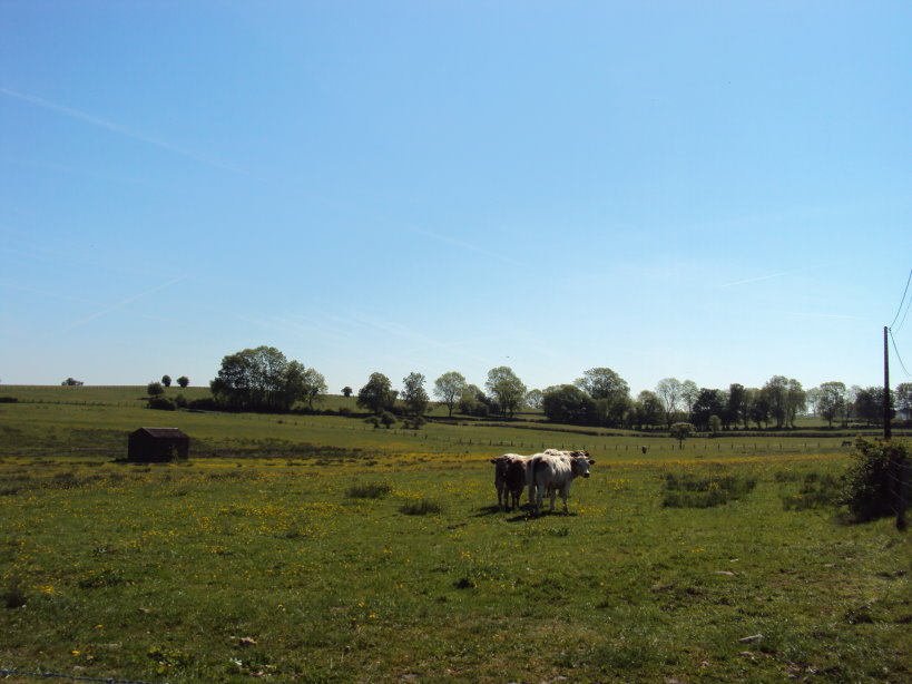 mouzon entre meuse et chier1963.jpg